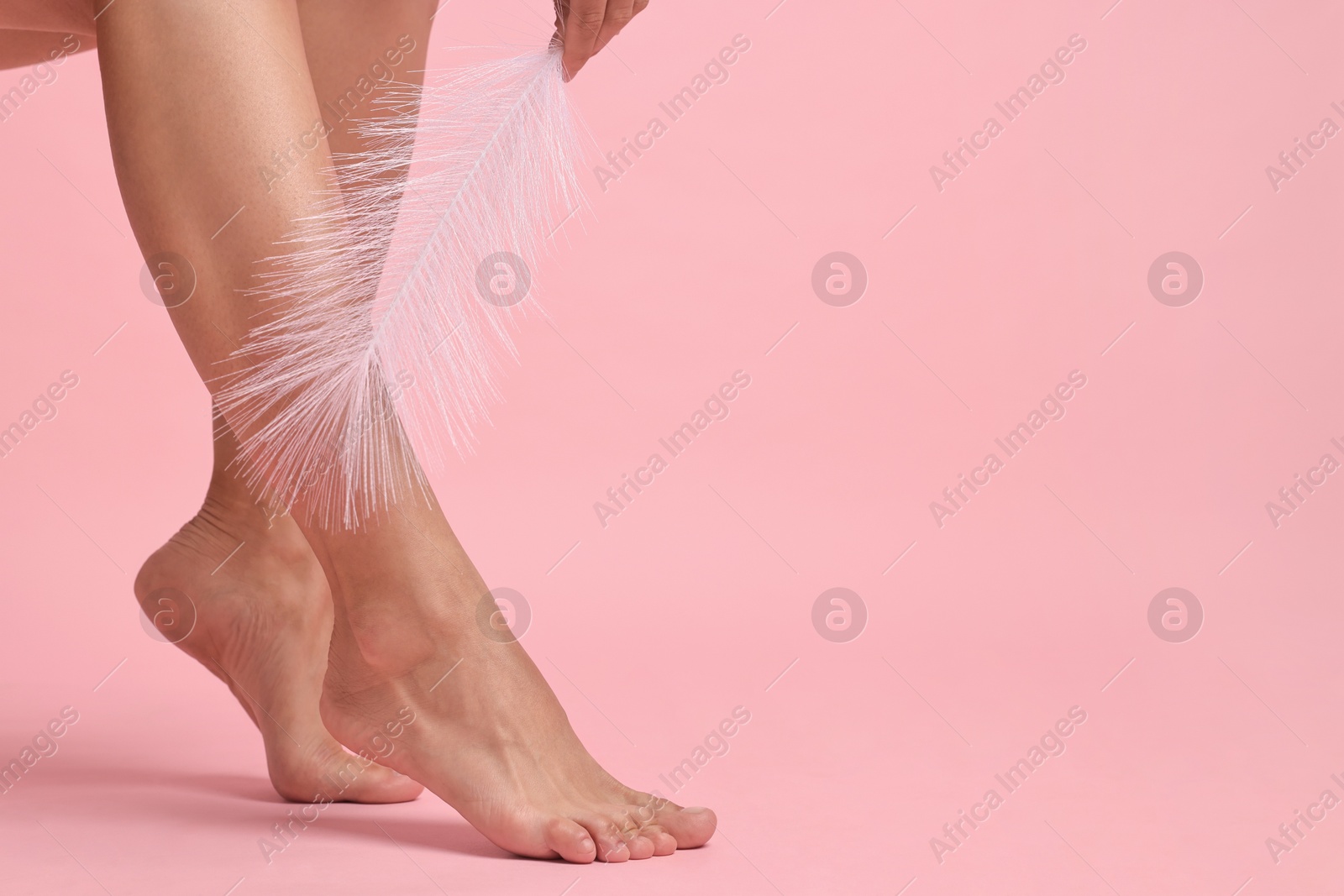 Photo of Woman with smooth legs and feather on pink background, closeup. Space for text