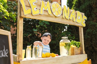 Cute little boy with refreshing drink at lemonade stand in park