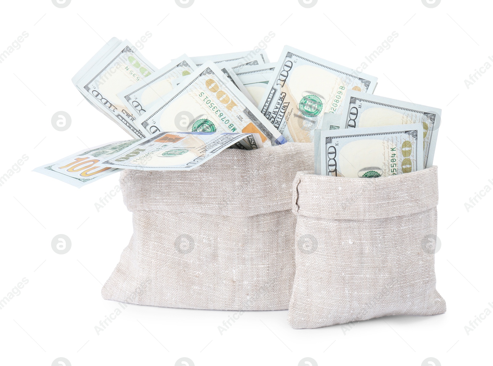 Photo of Dollar banknotes in bags isolated on white