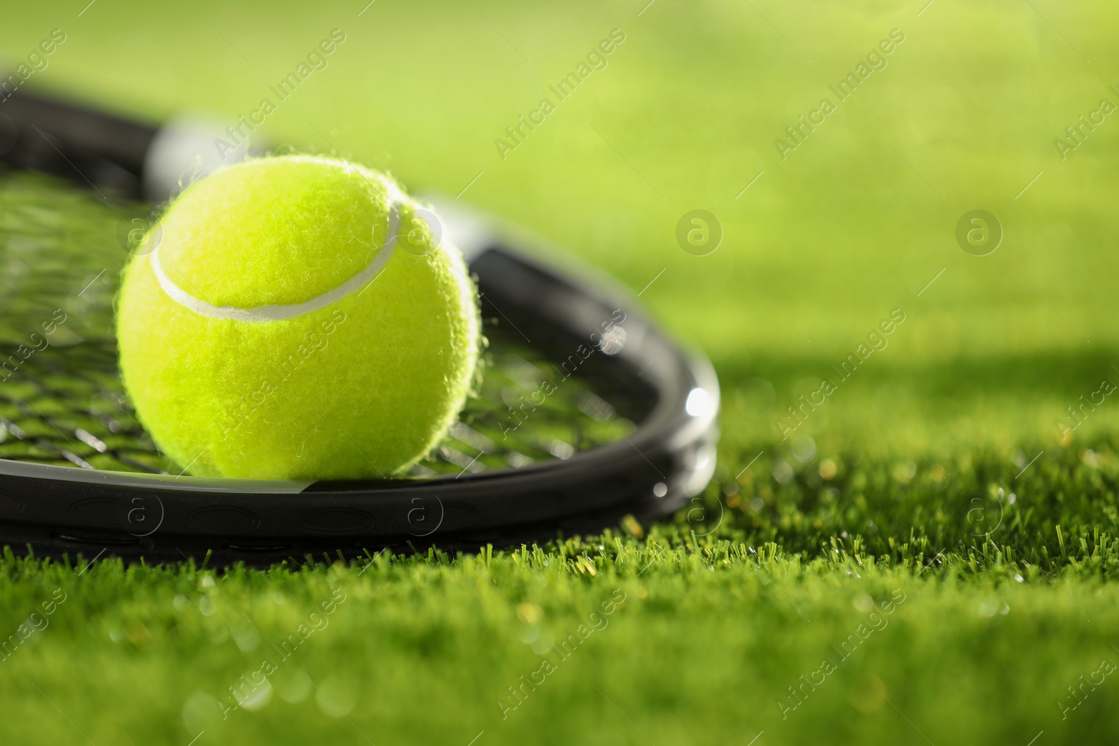 Photo of Tennis racket and ball on green grass, closeup. Space for text