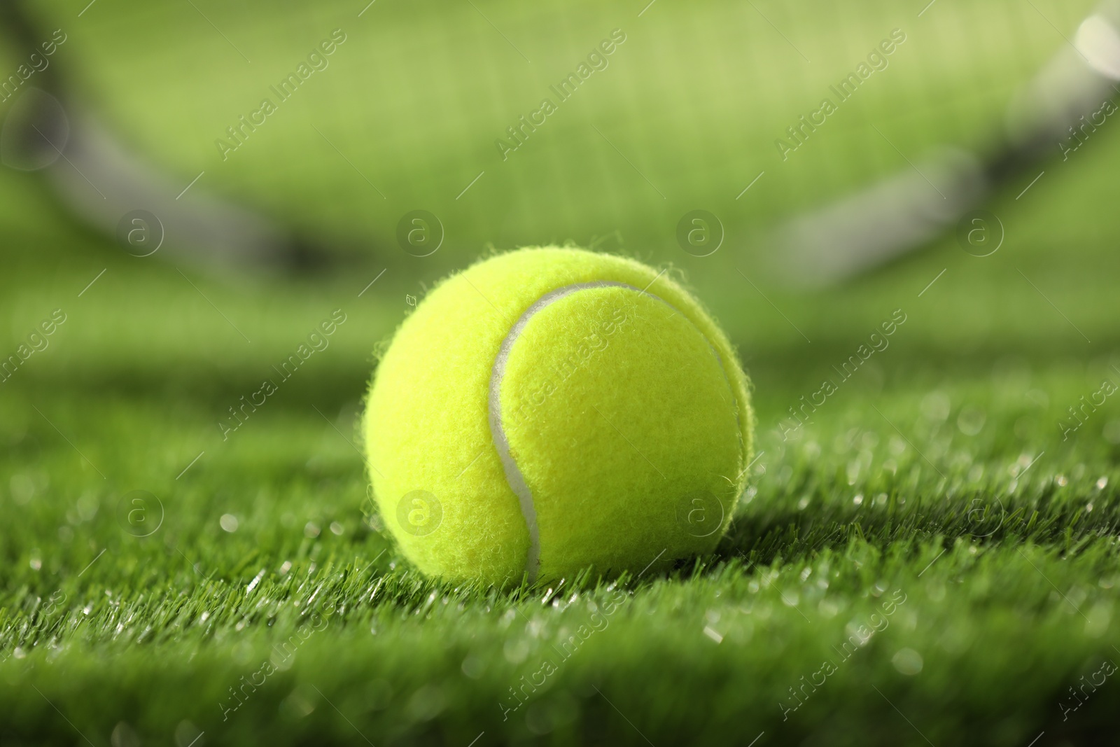 Photo of One tennis ball on green grass, closeup