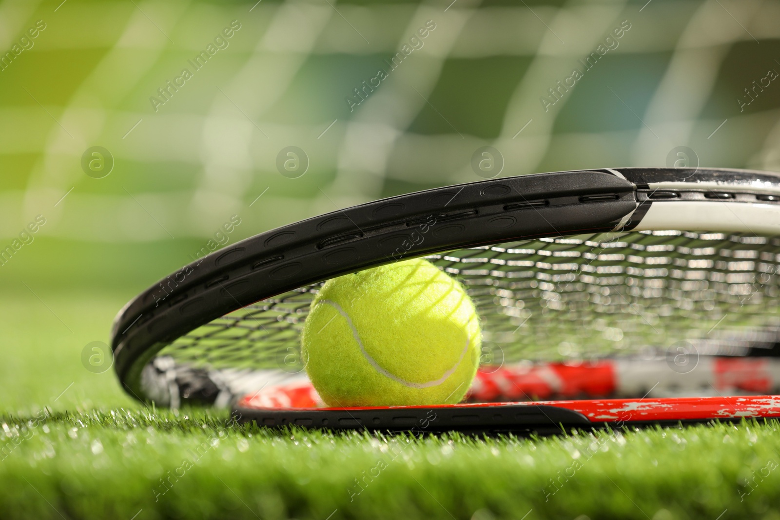 Photo of Tennis racket and ball on green artificial grass, closeup