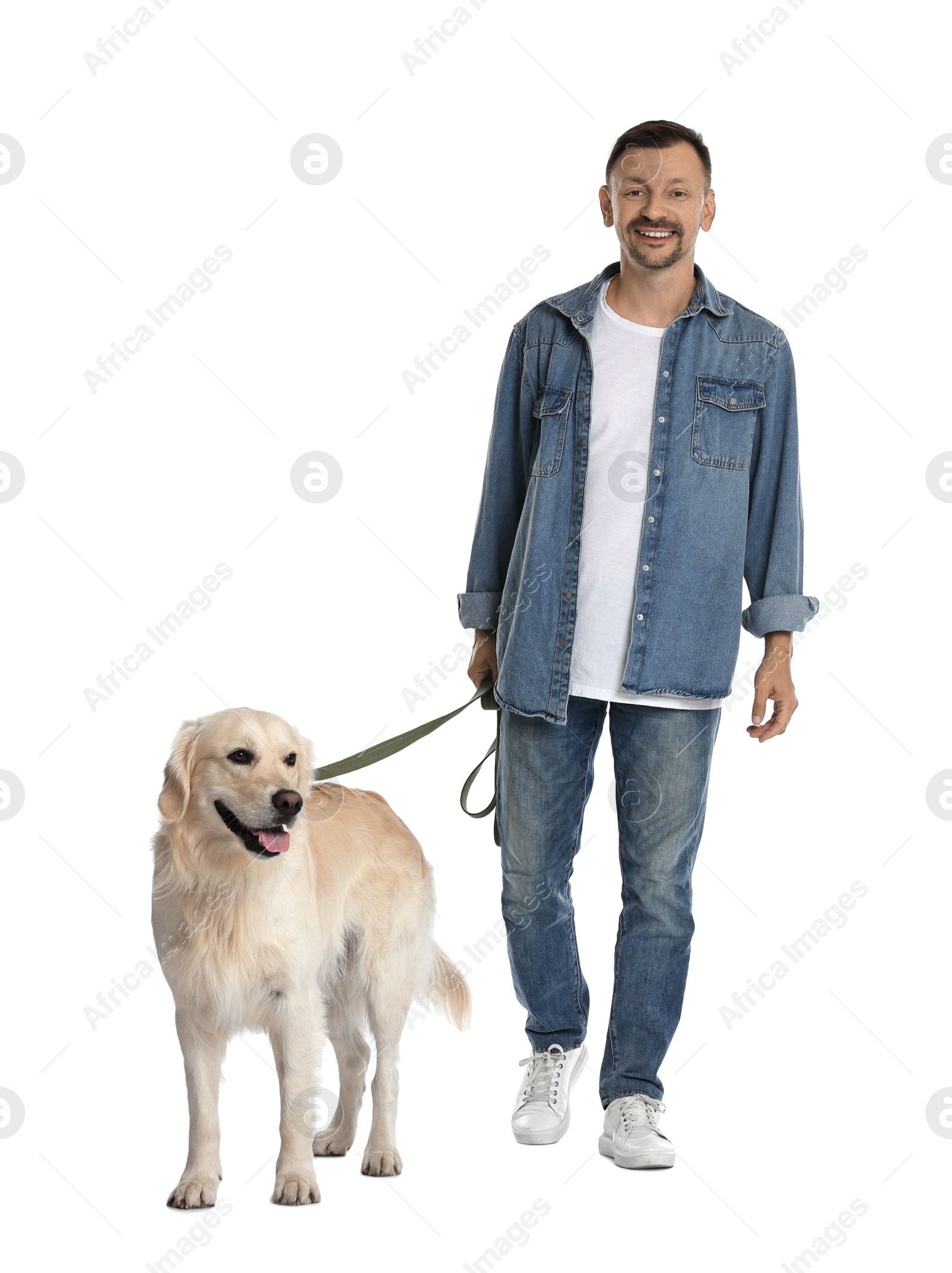 Photo of Walking with dog. Happy man with Golden Retriever on white background