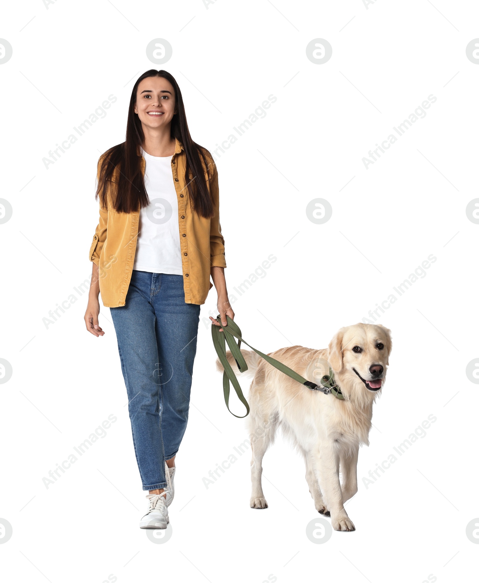 Photo of Walking with dog. Happy woman with Golden Retriever on white background