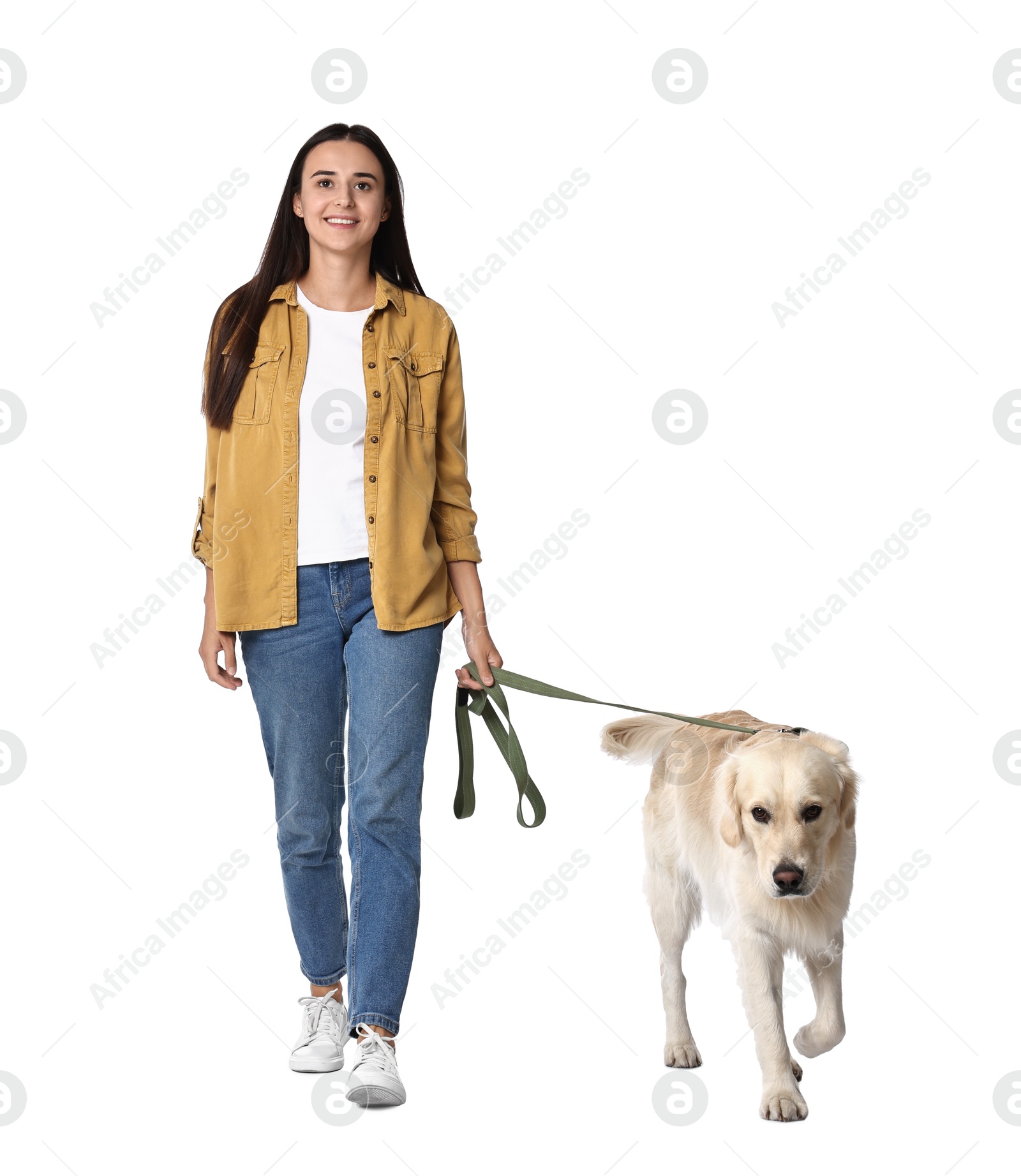 Photo of Walking with dog. Happy woman with Golden Retriever on white background