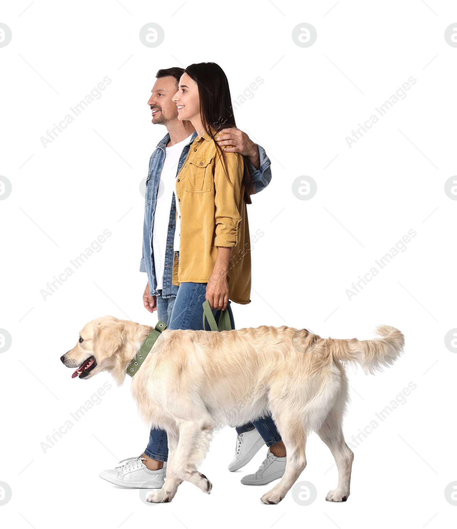 Photo of Walking with dog. Happy couple with Golden Retriever on white background