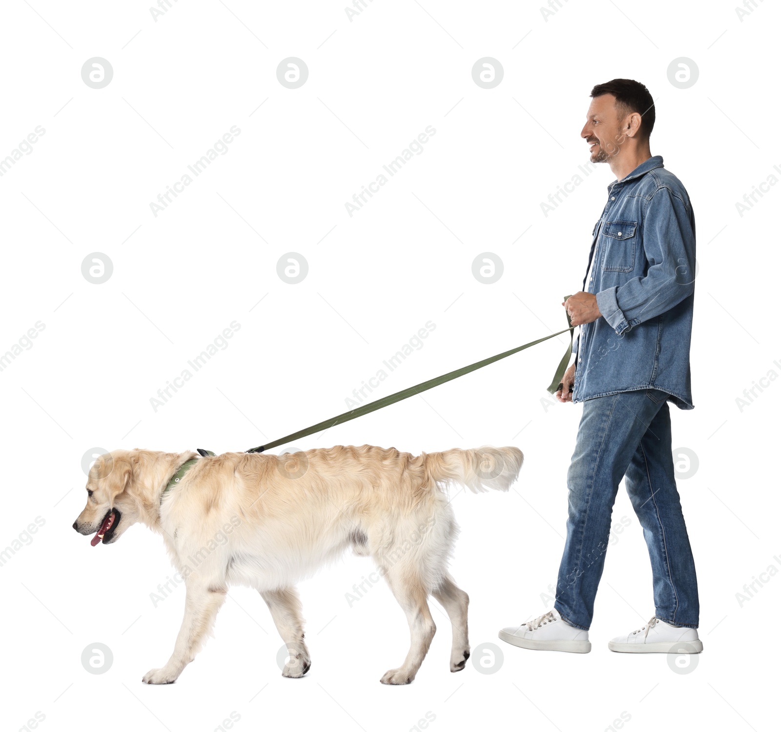 Photo of Walking with dog. Happy man with Golden Retriever on white background