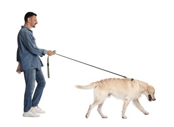 Walking with dog. Happy man with Golden Retriever on white background