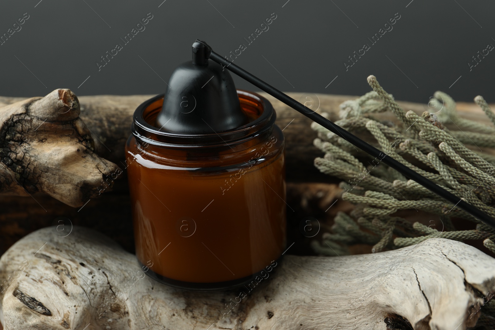 Photo of Candle, snuffer and brunia plants on pieces of decorative wood against gray background