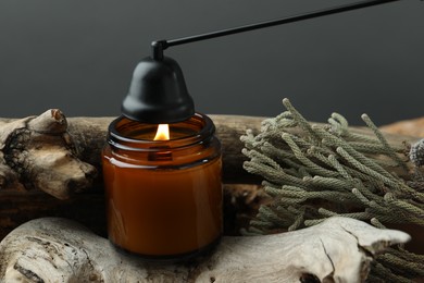 Photo of Beautiful burning candle, snuffer and brunia plants on pieces of decorative wood against gray background