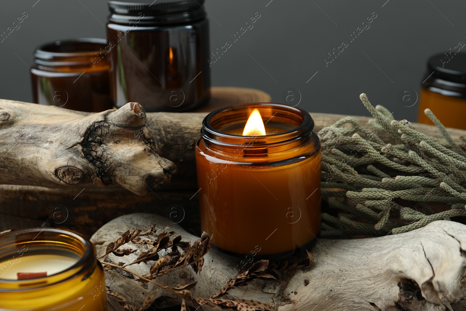 Photo of Beautiful burning candles and brunia plants on pieces of decorative wood against gray background, closeup