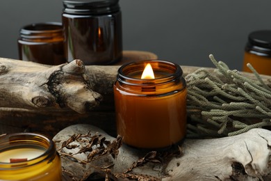 Beautiful burning candles and brunia plants on pieces of decorative wood against gray background, closeup