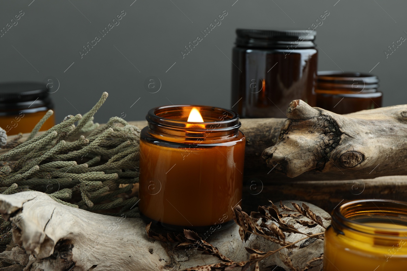 Photo of Beautiful burning candles and brunia plants on pieces of decorative wood against gray background, closeup