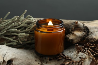 Photo of Beautiful burning candle, brunia plants and dry branch on pieces of decorative wood against gray background