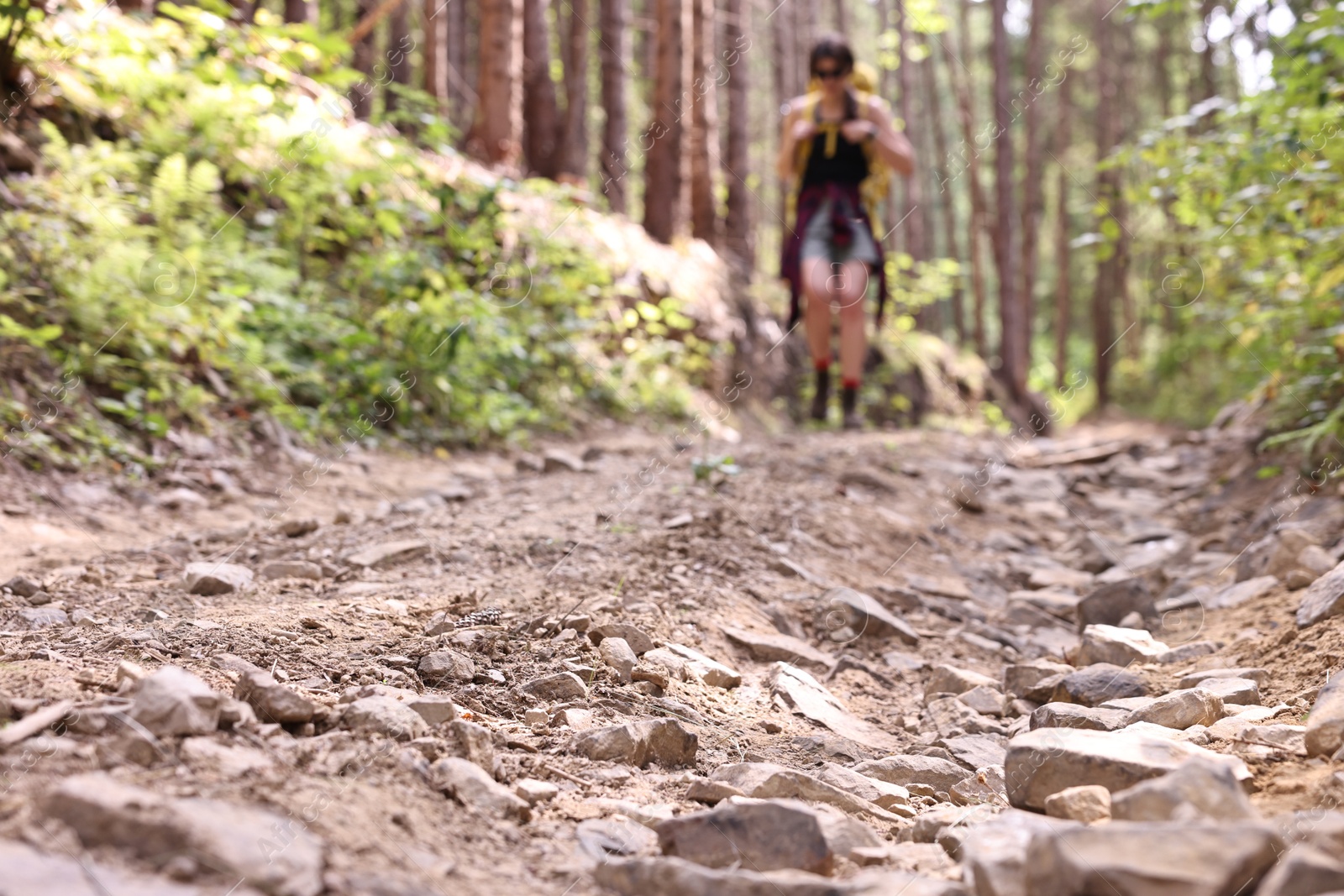 Photo of Young hiker with backpack in forest, selective focus. Space for text