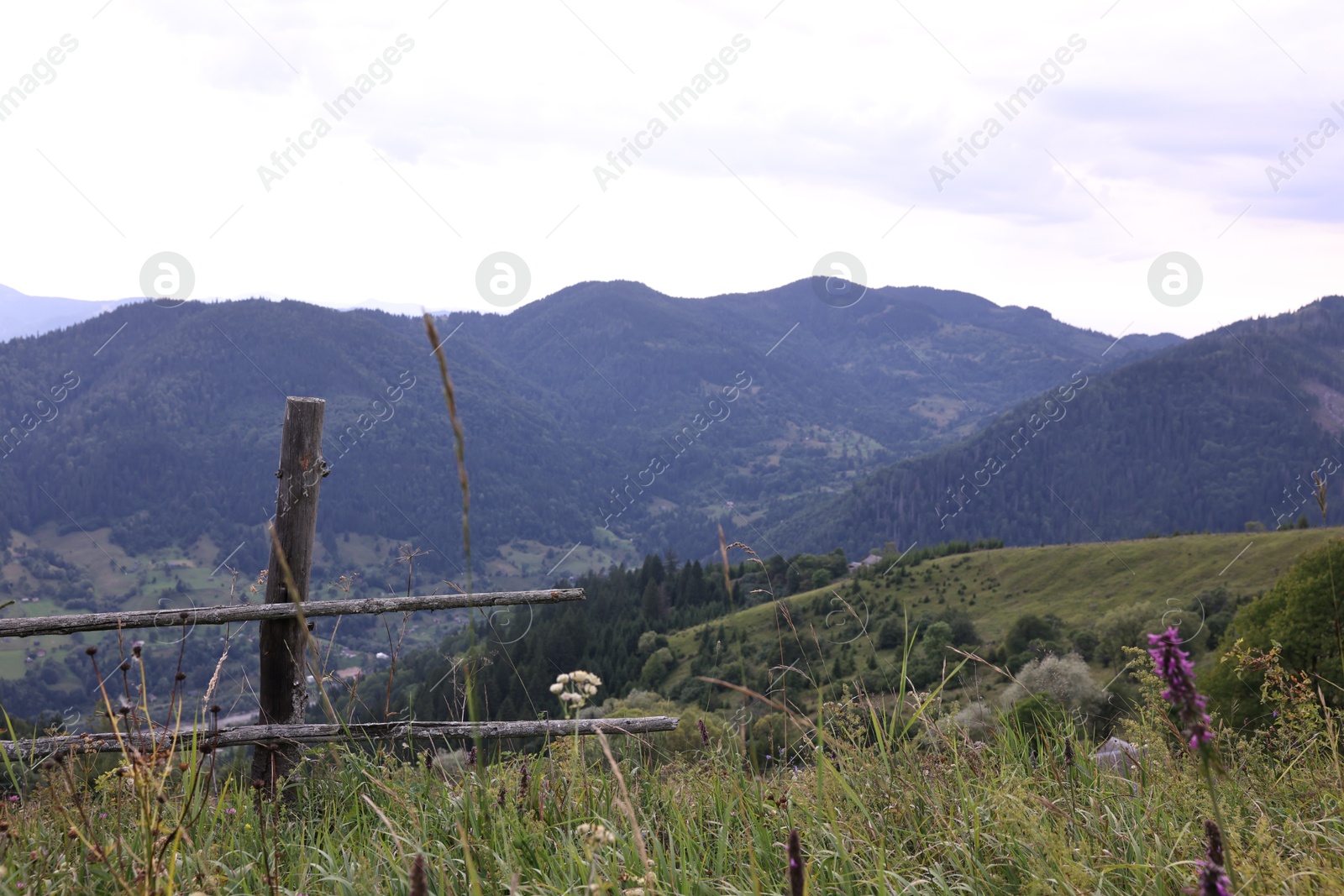 Photo of Beautiful view of forest in mountains and wooden fence under sky