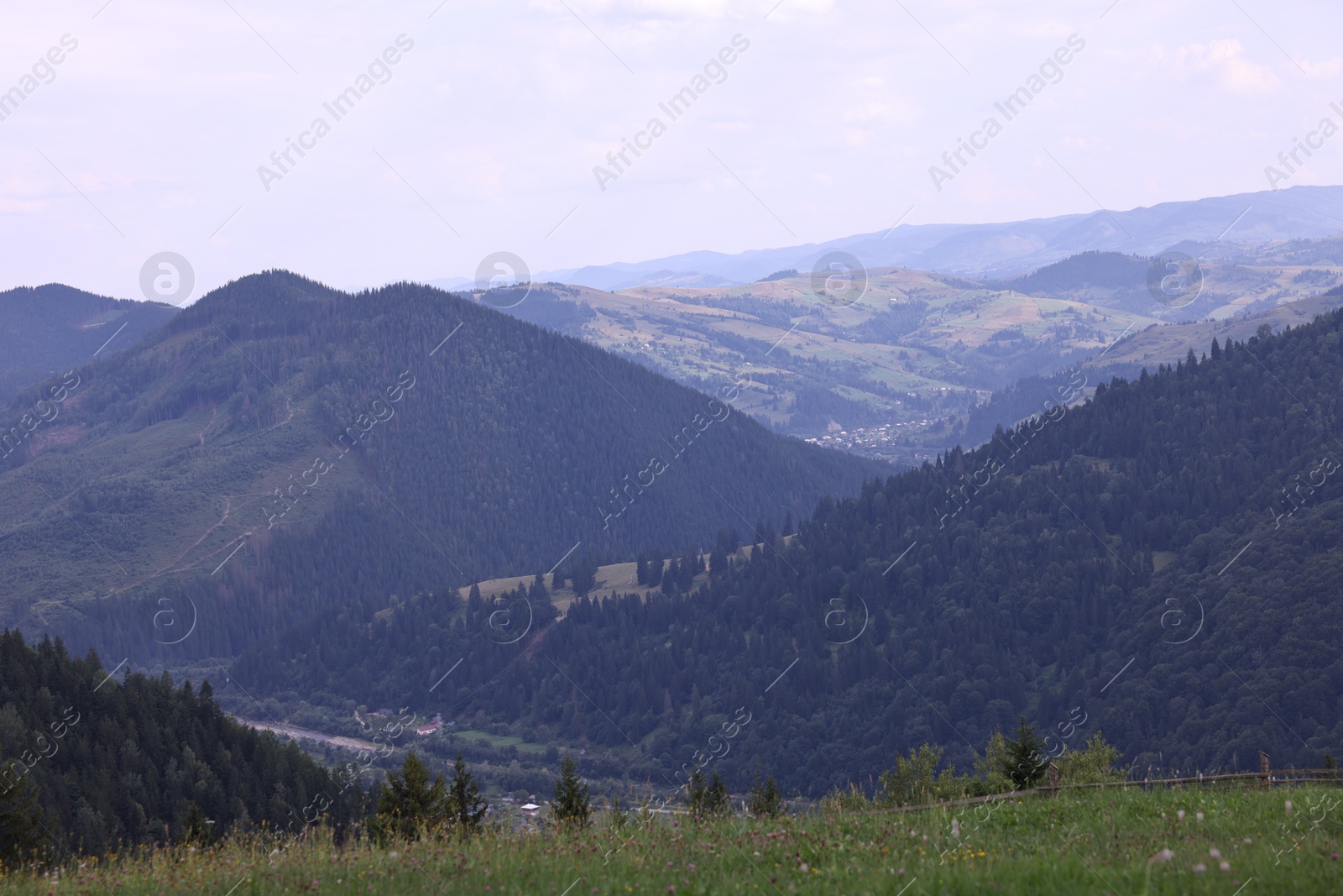 Photo of Beautiful view of forest in mountains under sky