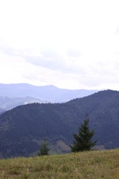 Photo of Beautiful view of forest in mountains under sky