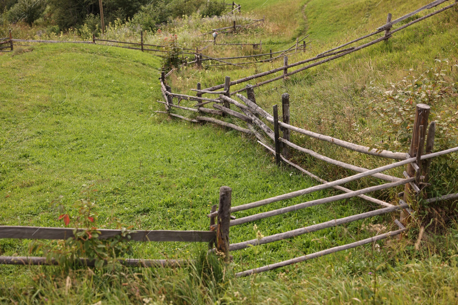 Photo of Beautiful view of green grass in mountains and wooden fence