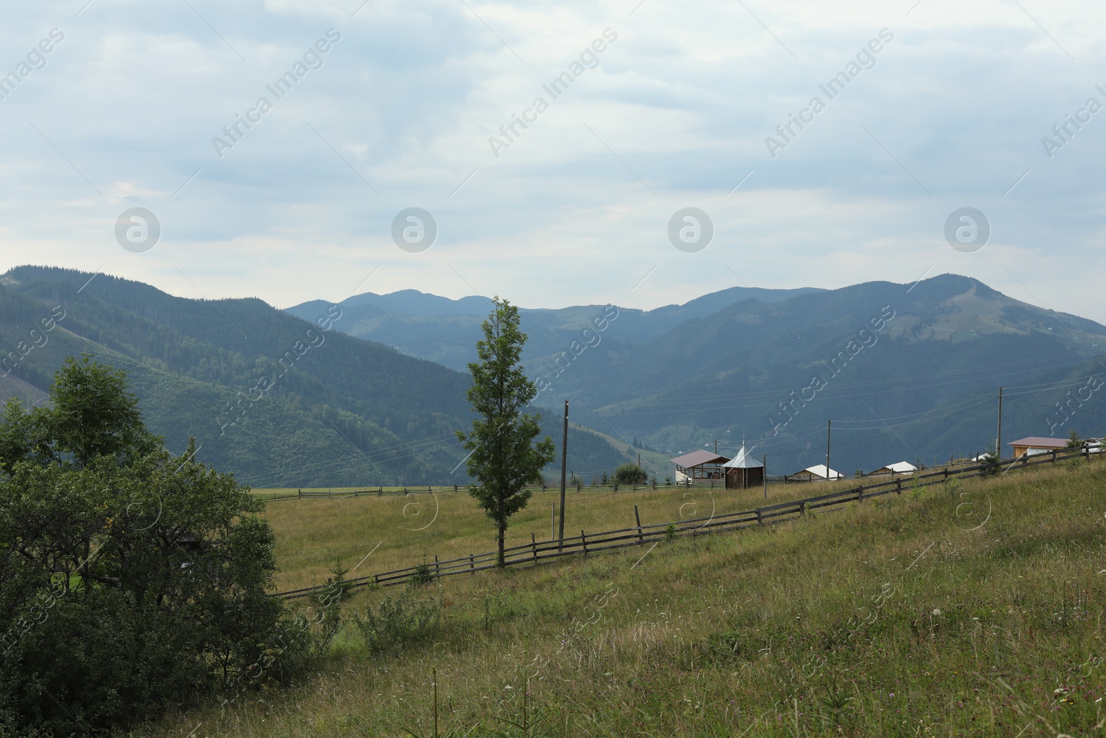 Photo of Beautiful view of forest in mountains under sky