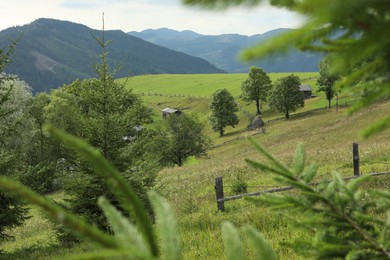 Photo of Beautiful view of forest in mountains under sky