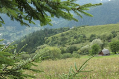 Photo of Beautiful view of forest in mountains under sky