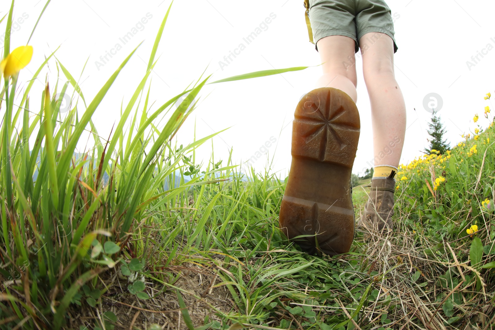 Photo of Young hiker in field, closeup and space for text. Fisheye lens effect