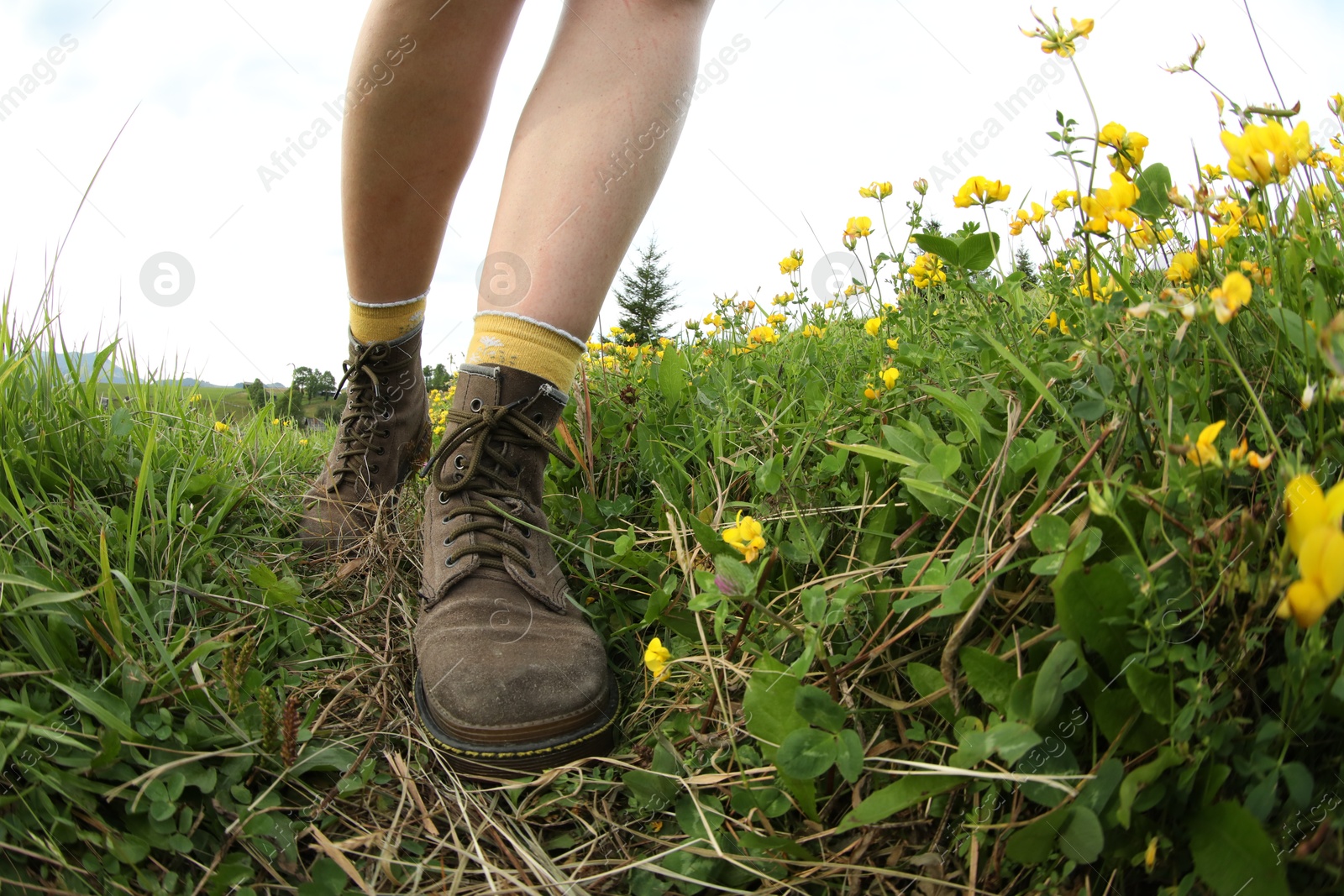 Photo of Young hiker in field, closeup. Fisheye lens effect