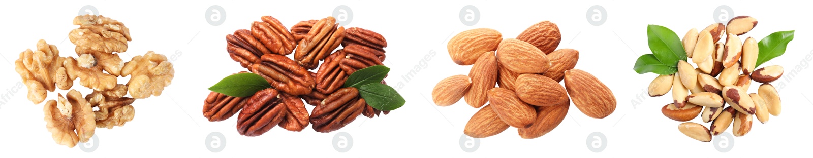 Image of Different nuts on white background, collection. Pecan, walnut, almond and brazil nut