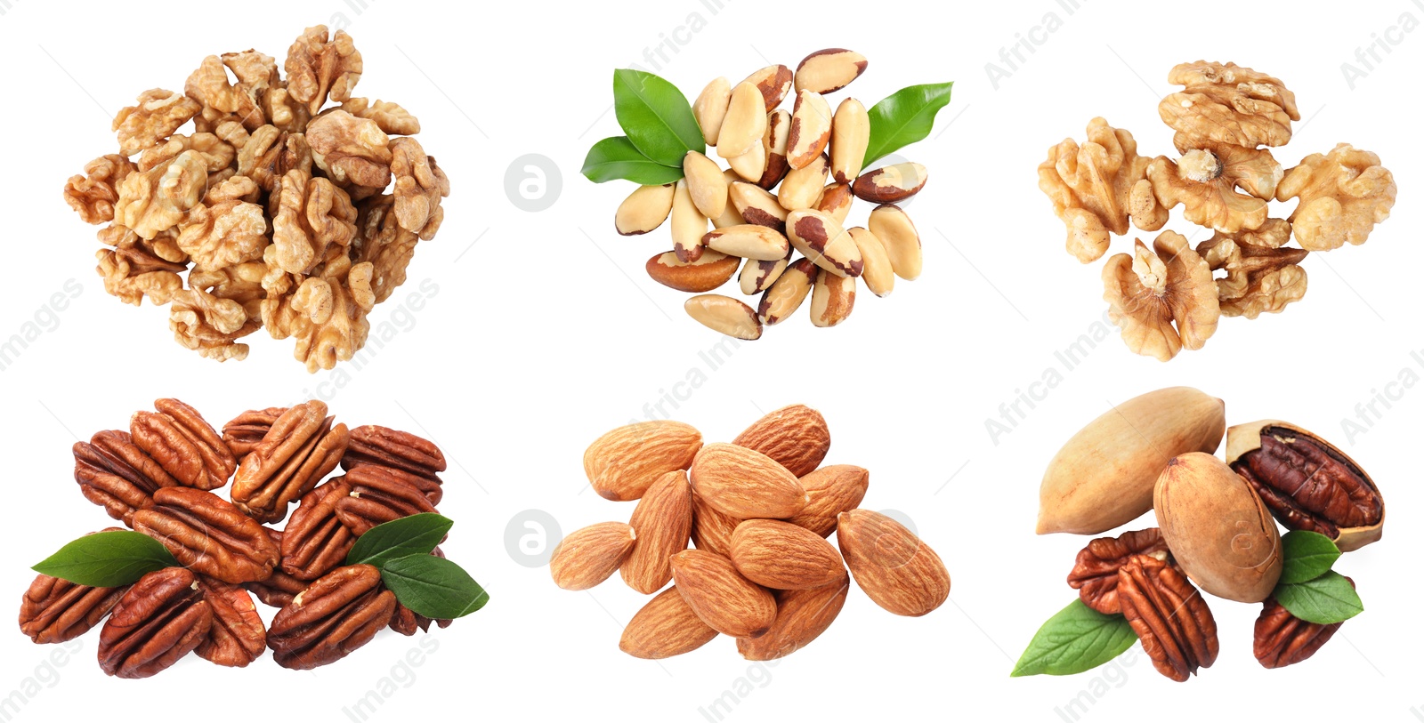 Image of Different nuts on white background, collection. Pecan, walnut, almond and brazil nut