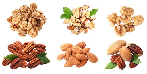 Different nuts on white background, collection. Pecan, walnut, almond and brazil nut