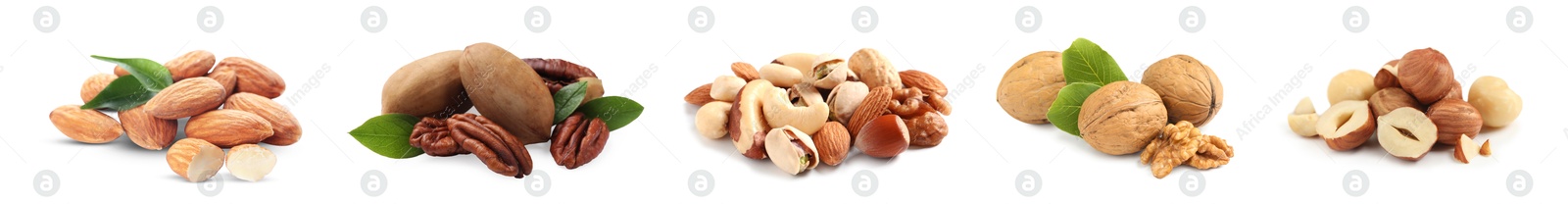 Image of Different nuts on white background, collection. Pecan, walnut, hazelnut, almond and brazil nut