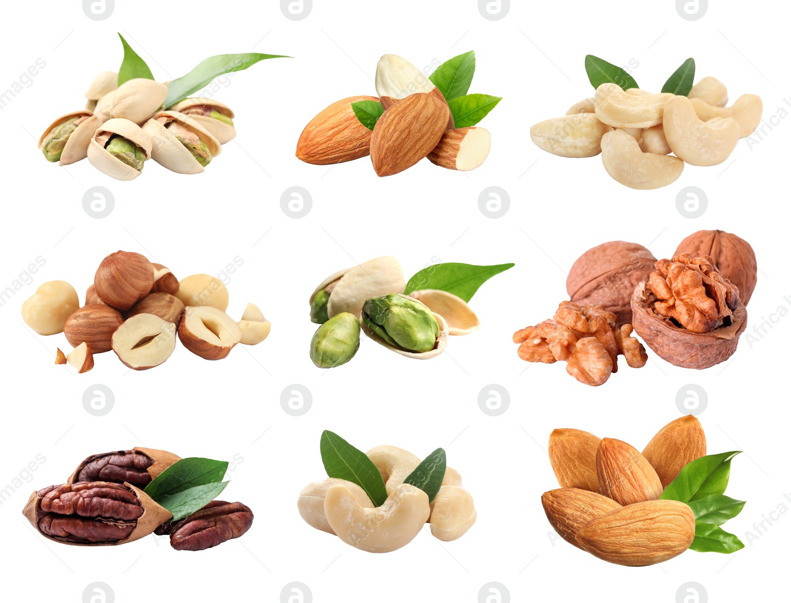 Image of Different nuts on white background, collection. Pecan, walnut, almond, hazelnut, cashew and pistachio