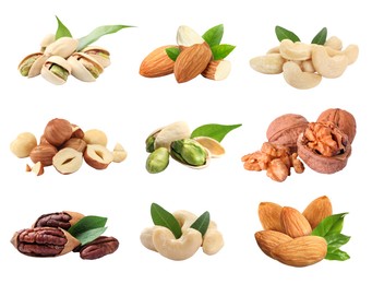 Different nuts on white background, collection. Pecan, walnut, almond, hazelnut, cashew and pistachio