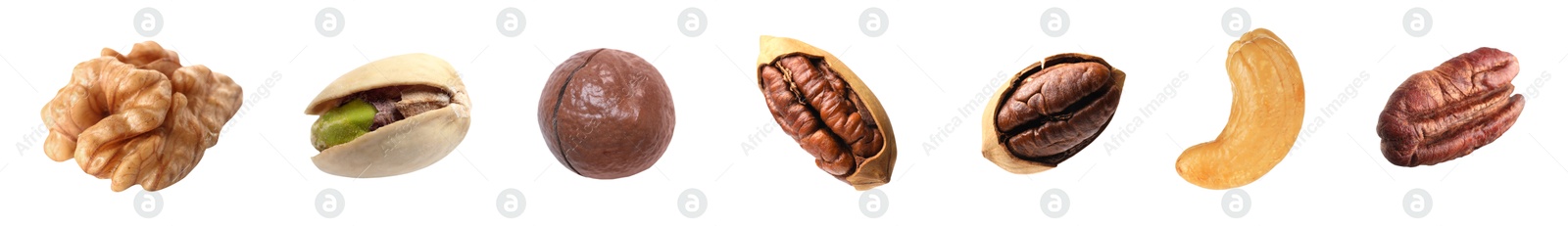 Image of Different nuts on white background, collection. Pecan, walnut, pistachio, macadamia and cashew