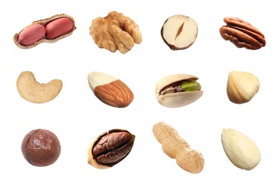 Different nuts on white background, collection. Pecan, walnut, pistachio, macadamia, peanut, hazelnut, almond and cashew