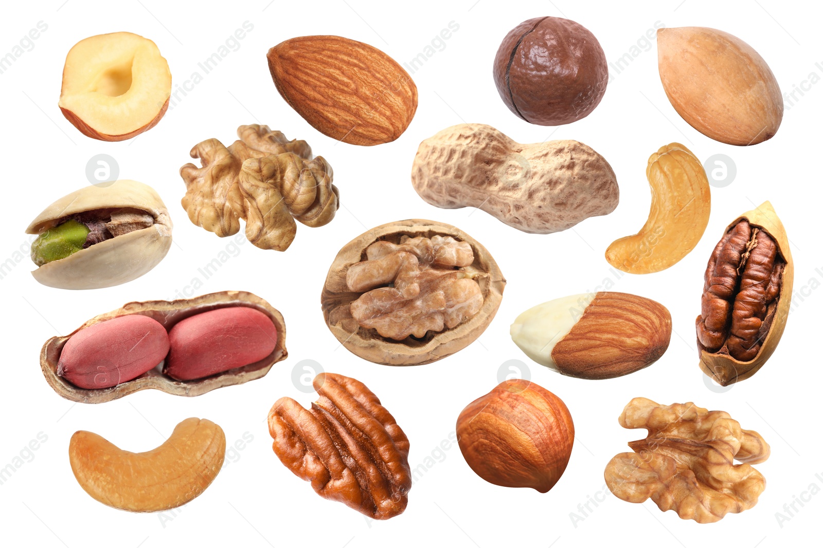 Image of Different nuts on white background, collection. Pecan, walnut, pistachio, macadamia, peanut, hazelnut, almond and cashew