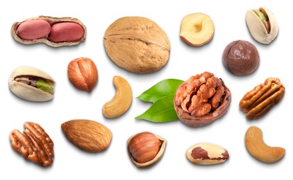 Image of Different nuts on white background, collection. Pecan, walnut, pistachio, macadamia, peanut, hazelnut, almond, brazil nut and cashew