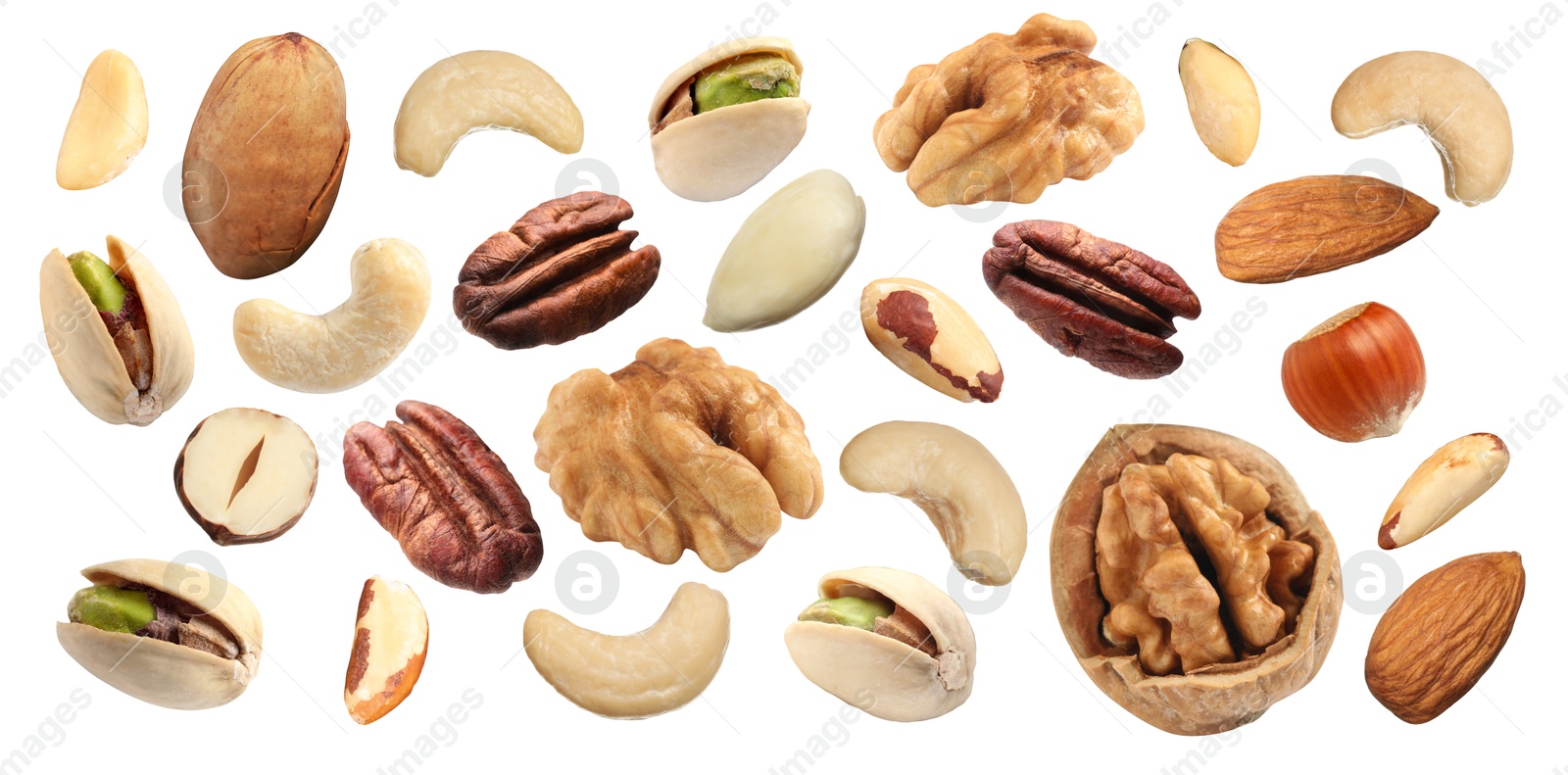 Image of Different nuts on white background, collection. Pecan, walnut, pistachio, peanut, hazelnut, almond, brazil nut and cashew