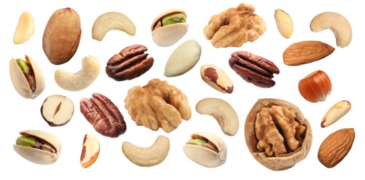 Image of Different nuts on white background, collection. Pecan, walnut, pistachio, peanut, hazelnut, almond, brazil nut and cashew