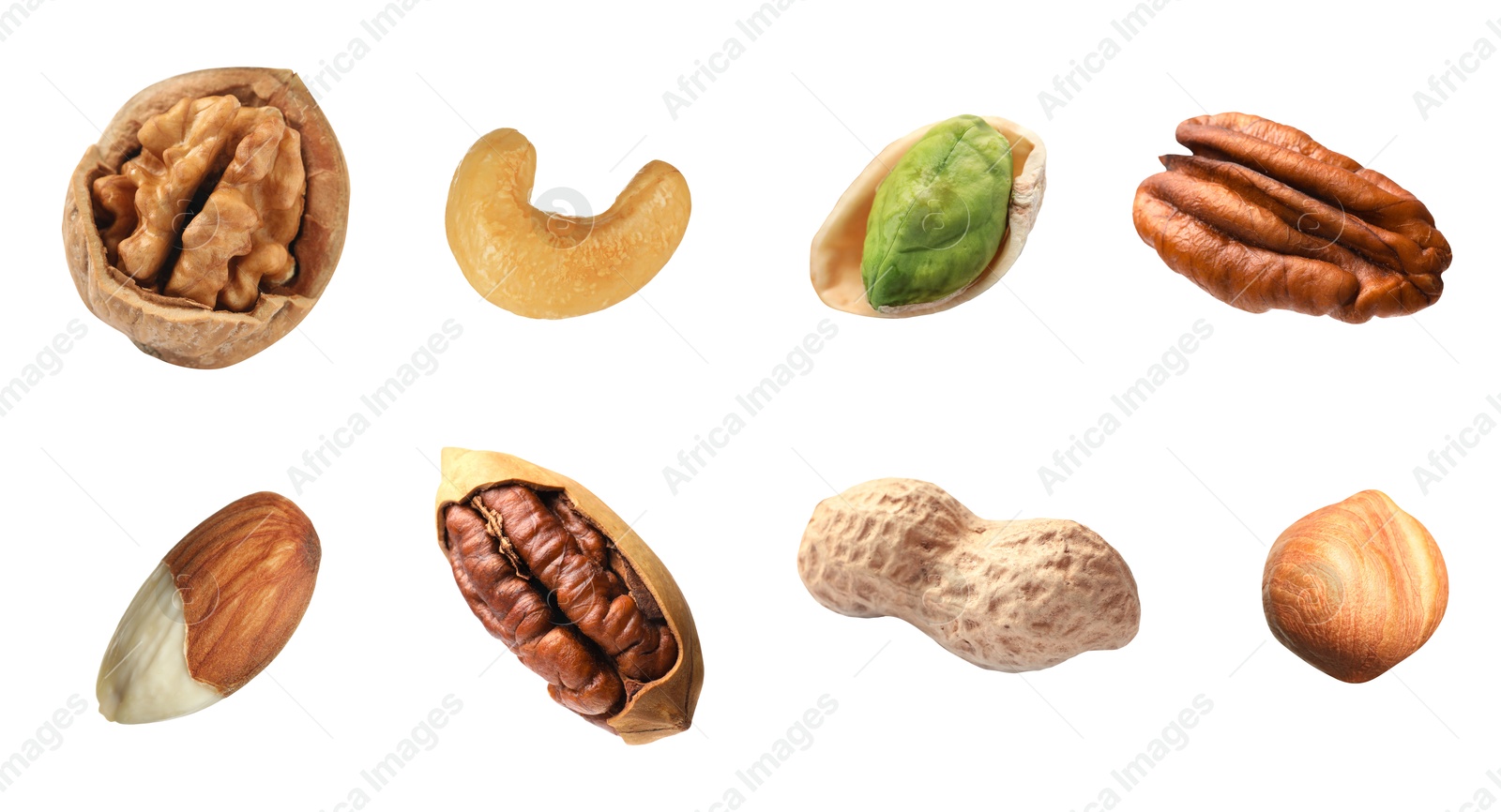 Image of Different nuts on white background, collection. Pecan, walnut, pistachio, peanut, hazelnut, almond and cashew