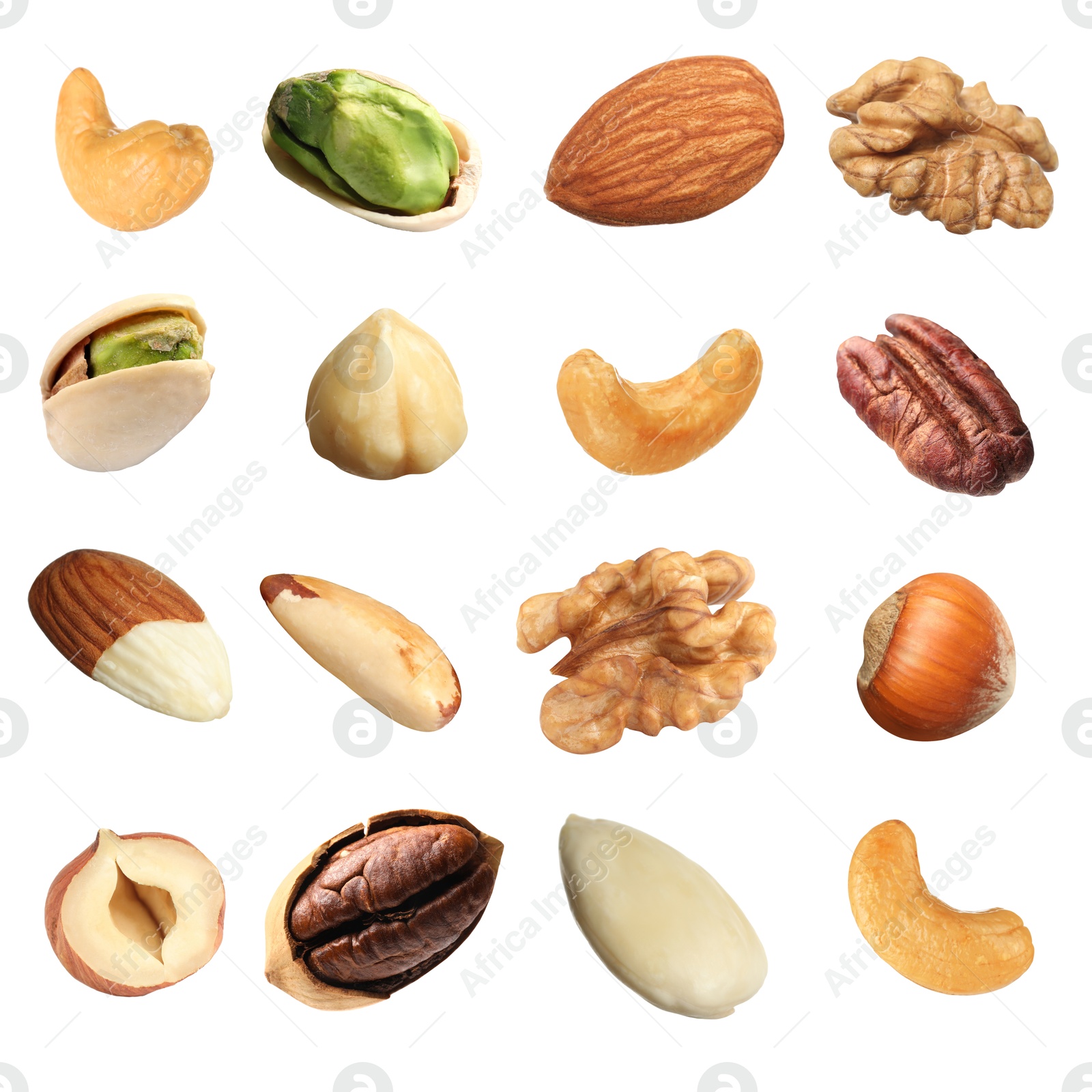 Image of Different nuts on white background, collection. Pecan, walnut, pistachio, brazil nut, hazelnut, almond and cashew