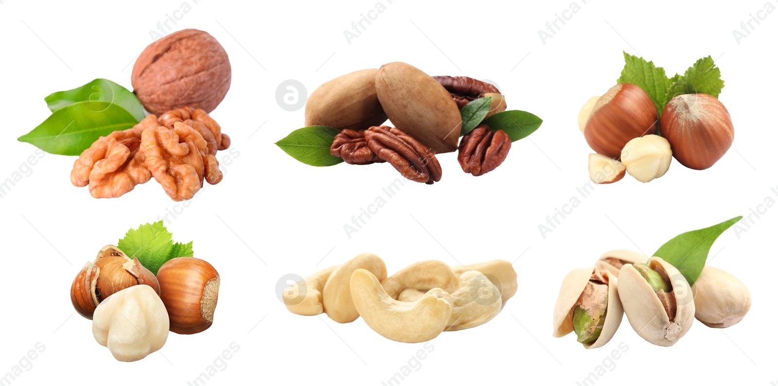 Image of Different nuts on white background, collection. Pecan, walnut, hazelnut, cashew and pistachio