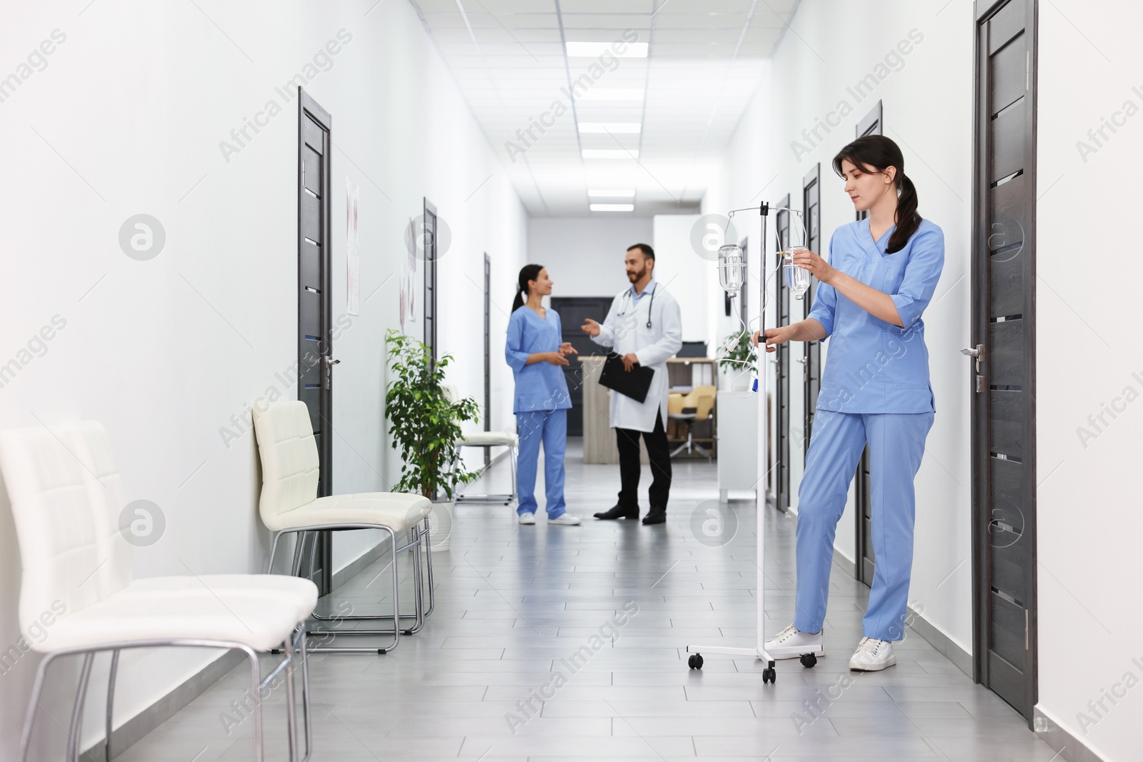 Photo of Doctors in light hospital hallway, selective focus