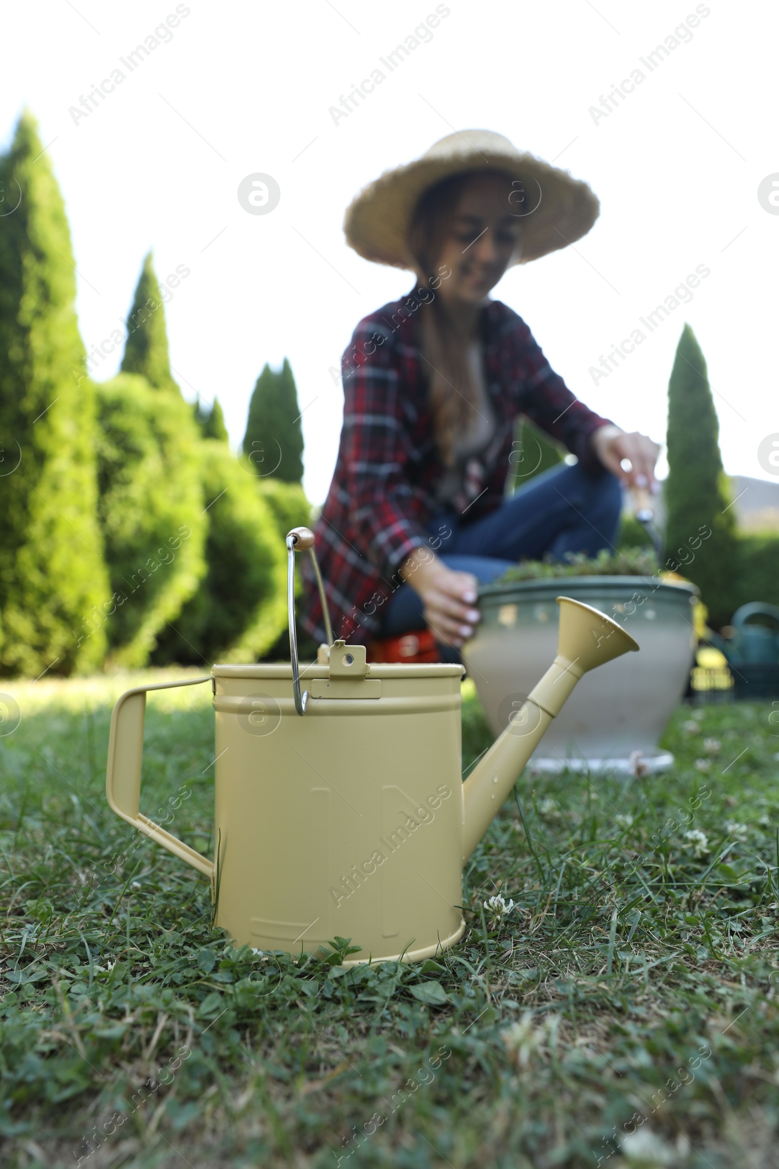 Photo of Woman with potted plant outdoors, focus on watering can