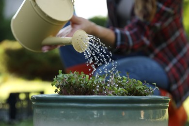 Woman watering potted seedlings with can outdoors, closeup