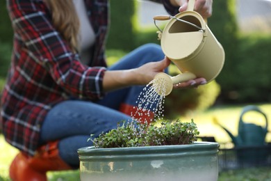 Woman watering potted seedlings with can outdoors, closeup