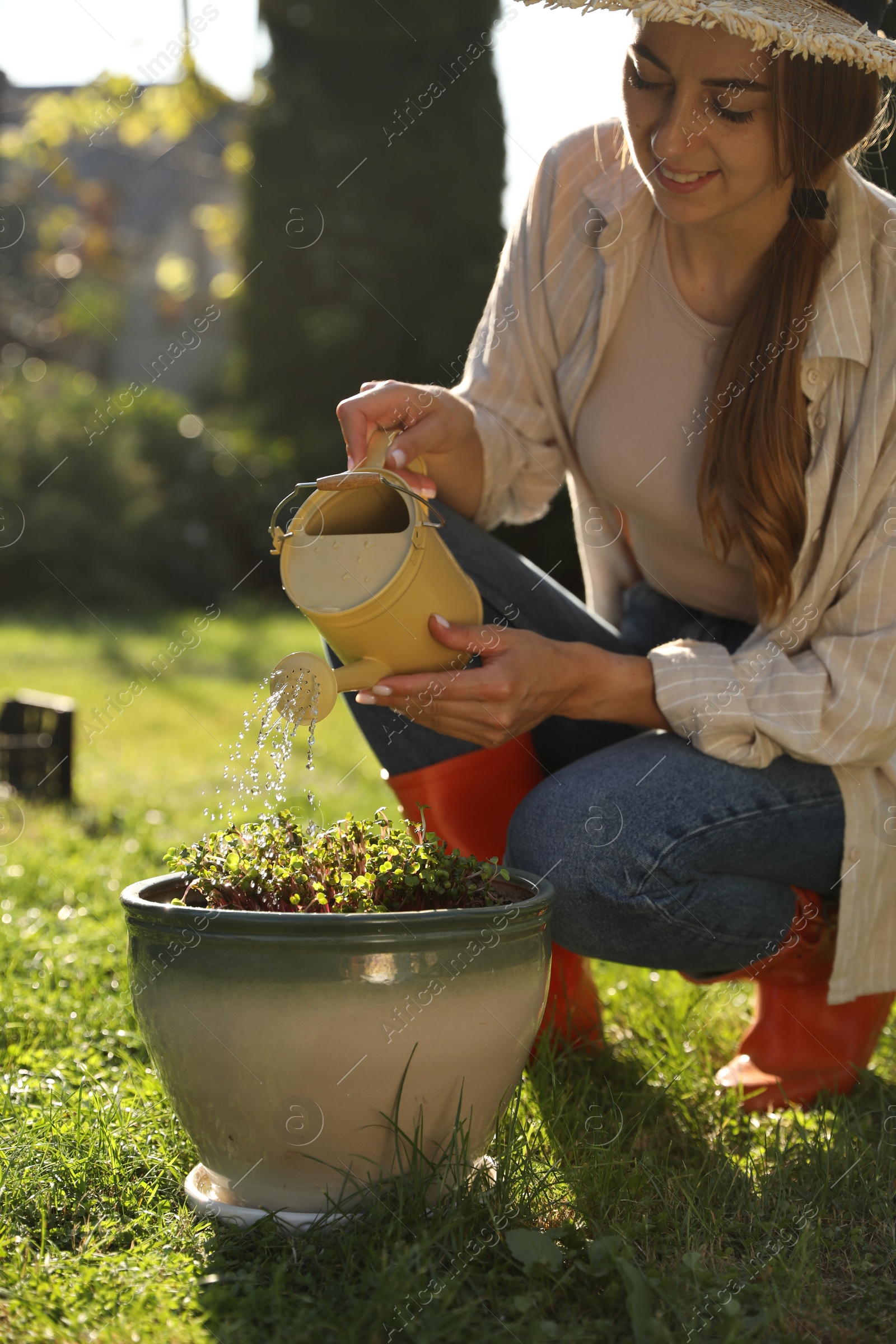 Photo of Smiling woman watering potted seedlings with can outdoors