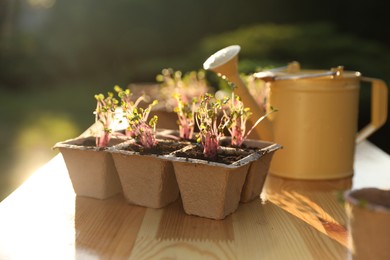 Potted seedlings and watering can on wooden table outdoors