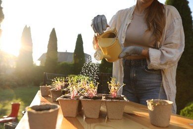 Woman watering potted seedlings with can at wooden table outdoors, closeup